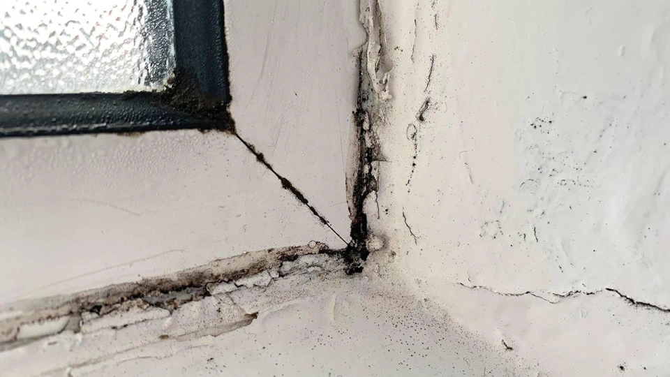 Mould around windows 4