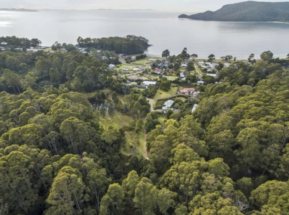 Screen Shot 2024 04 29 at 3 38 24 pm