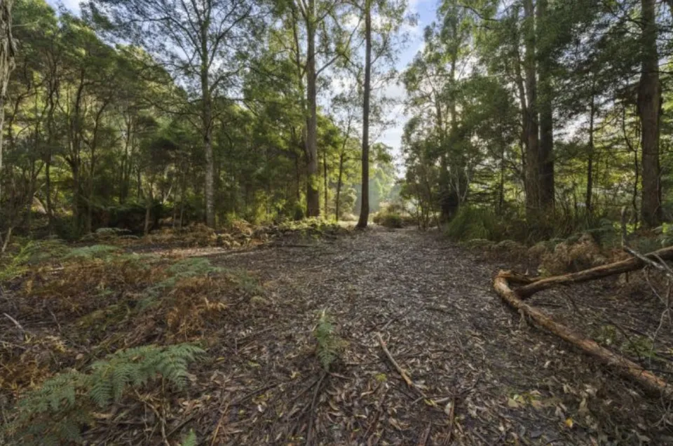 Screen Shot 2024 04 29 at 3 38 31 pm